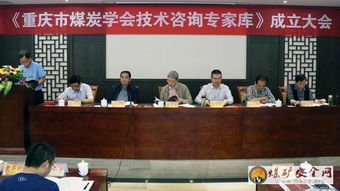 重慶煤炭學會聘請80名技術咨詢專家，為行業(yè)高質量發(fā)展注入新動能